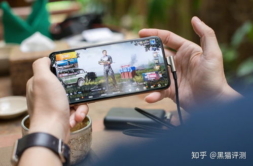 花开树下游戏苹果版下载-花开树下可化妆无广告版下载v.0.41 花开树下游戏苹果版下载-花开树下可化妆无广告版下载v.0.41